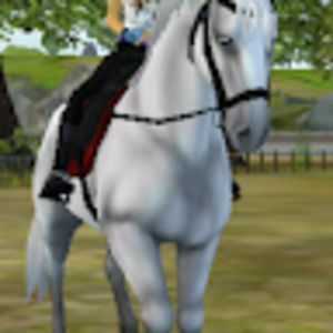 Meet your Posher, Olena